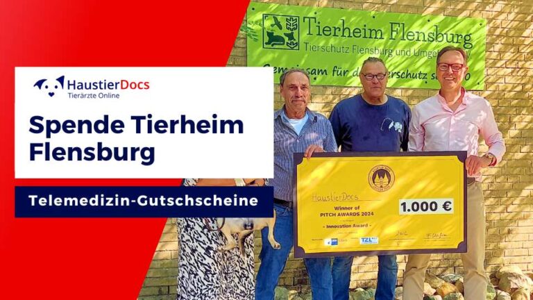 Tierheim Flensburg Spende