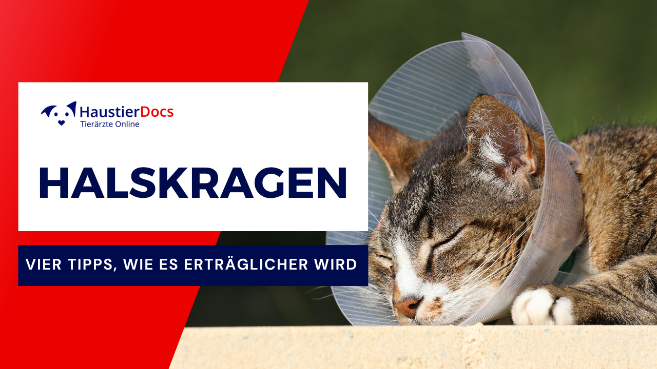 Halskragen erträglicher machen