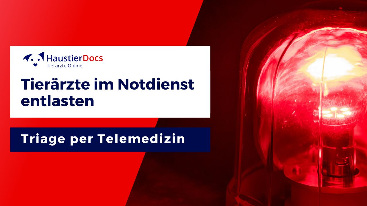 Tierärzte im Notdienst entlasten Tierärzte im Notdienst entlasten