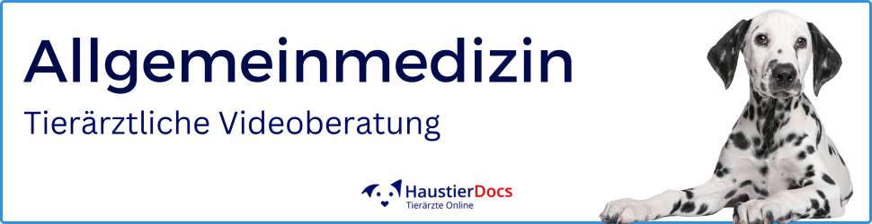 Allgemeinmedizin Hunde