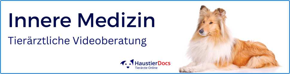 Innere Medizin Hunde