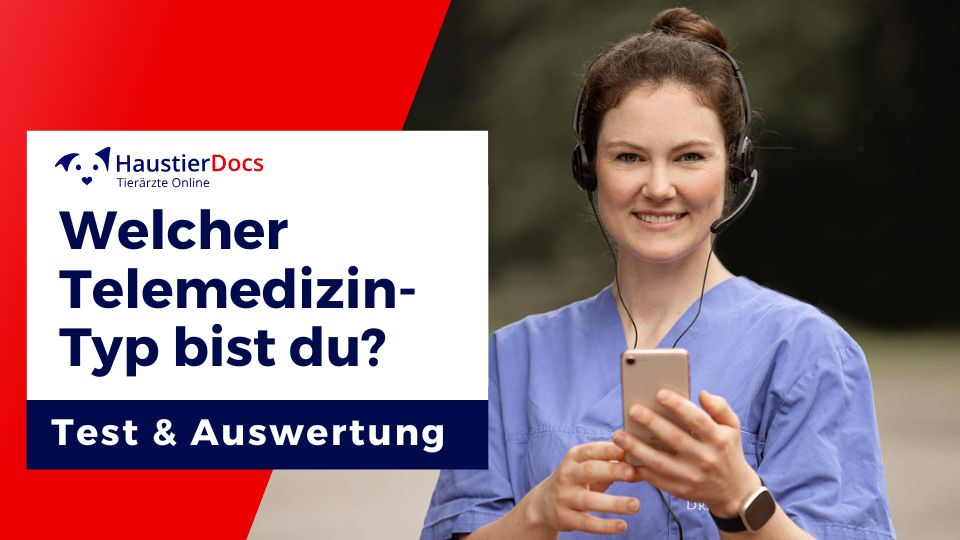 Test: Welcher Telemedizin-Typ bist du? Test: Welcher Telemedizin-Typ bist du?