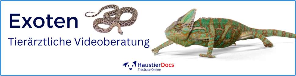 Exoten: Reptilien, Amphibien, Zierfische