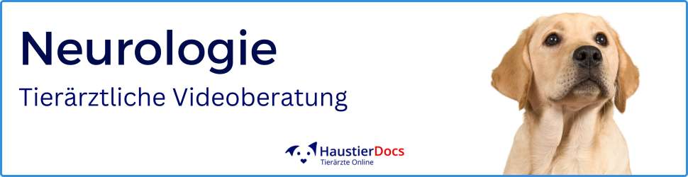 Neurologie Hunde