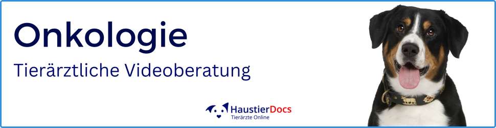 Onkologie Hunde