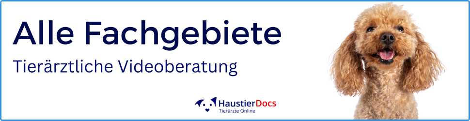 Hunde - Alle Fachgebiete
