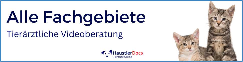 Katzen - Alle Fachgebiete