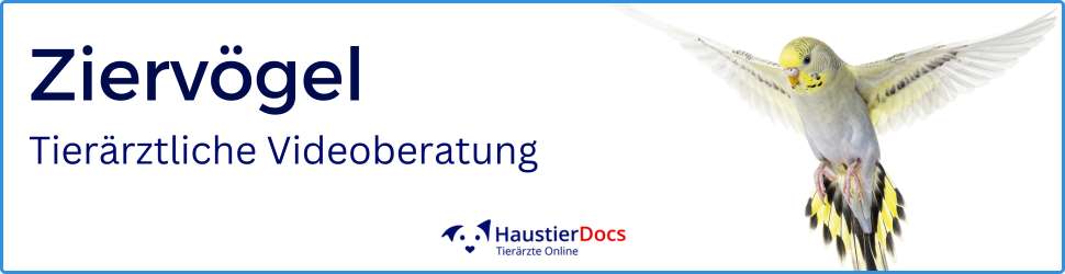 Ziervögel Allgemeinmedizin