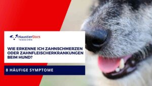 Wie erkenne ich Zahnschmerzen oder Zahnfleischerkrankungen beim Hund?
