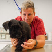 Dr. Bettina Reuter
