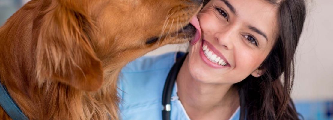 HaustierDoics Deutschlands Tierärzte Online -Telemedizin